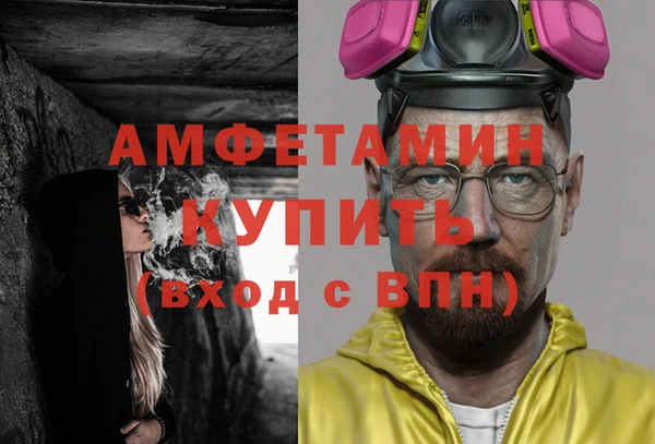 индика Ладушкин