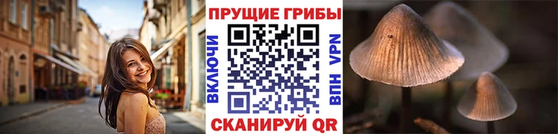 Купить закладки  Нижние Серги  Псилоцибиновые грибы ЛСД 
