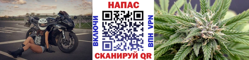 Конопля White Widow  Купить закладки  Нижние Серги 